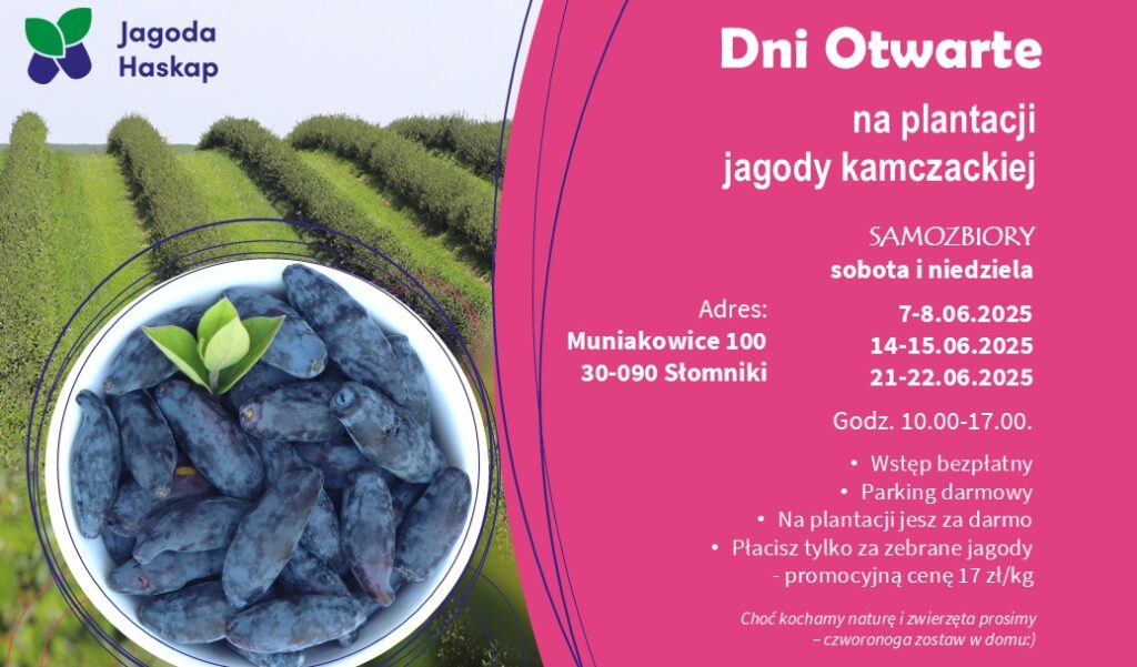 Dni Otwarte na plantacji jagody kamczackiej!